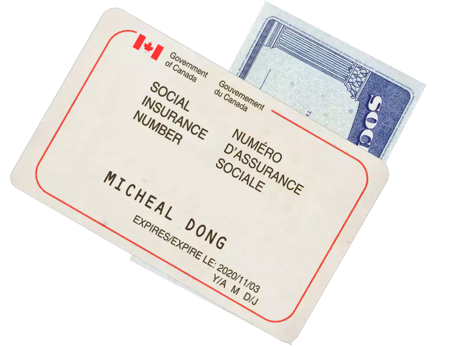ssn card pic