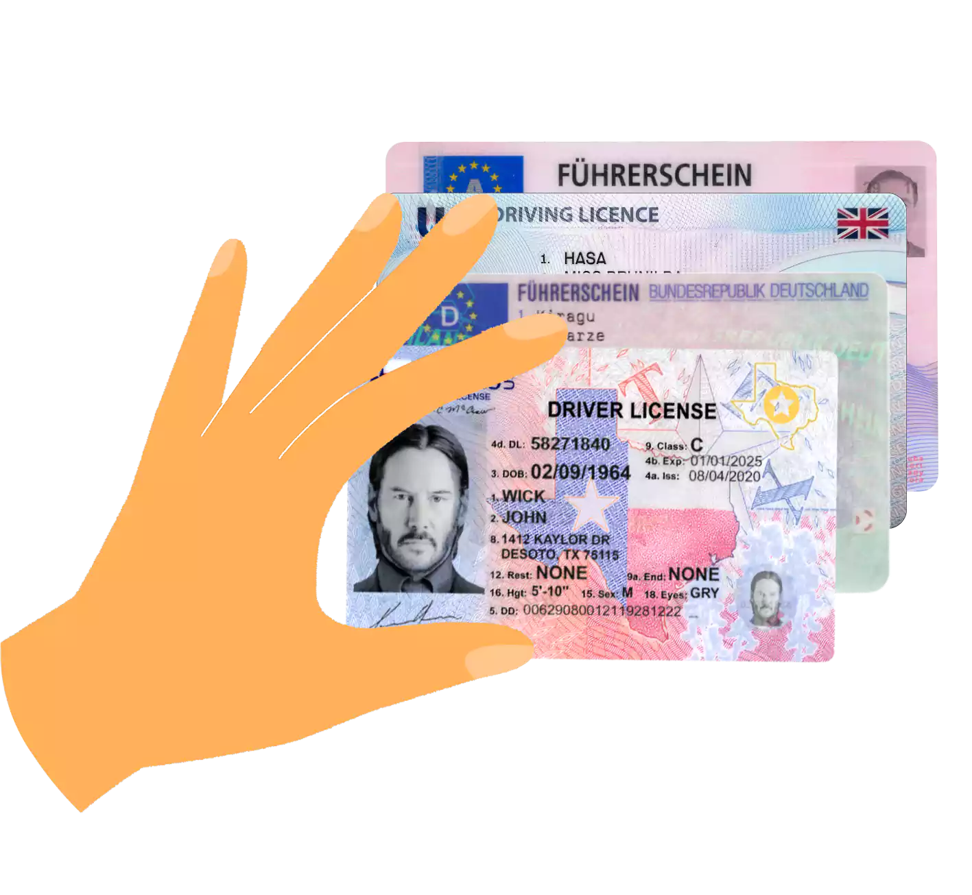 driver license services1